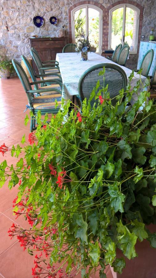 B&B Macchia D'Olmo Капаччио-Паэстум Экстерьер фото