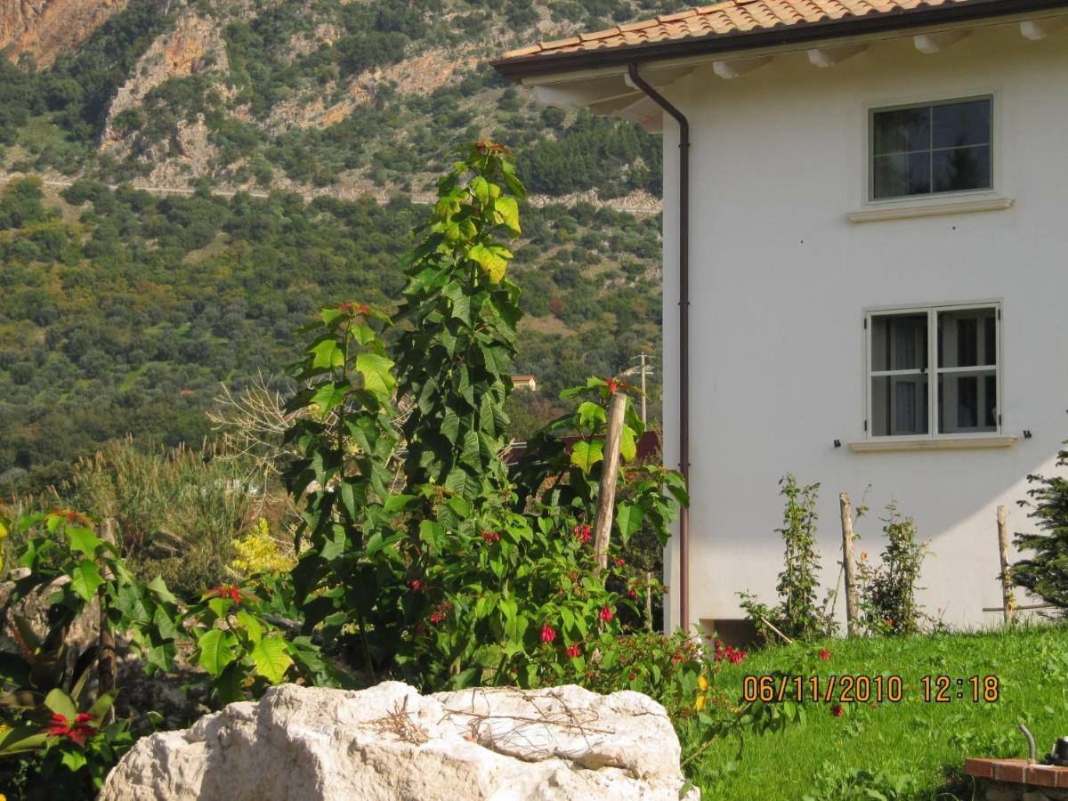 B&B Macchia D'Olmo Капаччио-Паэстум Экстерьер фото