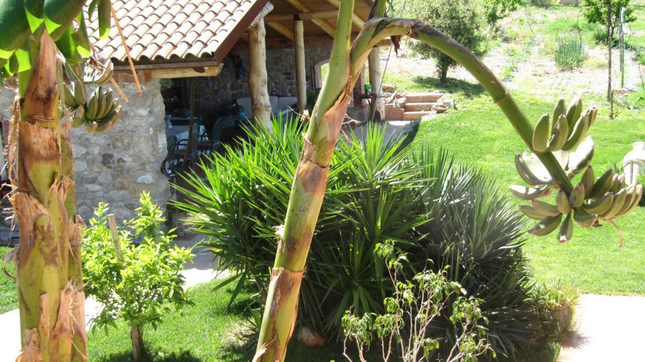 B&B Macchia D'Olmo Капаччио-Паэстум Экстерьер фото