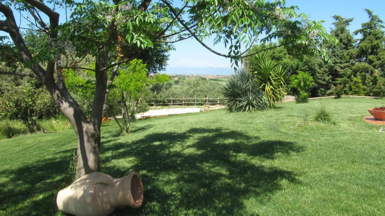 B&B Macchia D'Olmo Капаччио-Паэстум Экстерьер фото